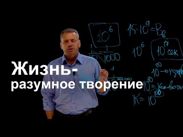 Жизнь - разумное творение