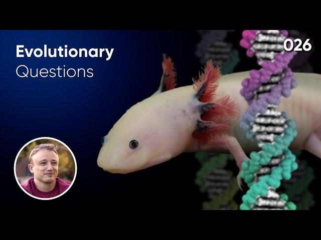 Do "Essential Genes" debunk evolution? Evolutionary Question #26