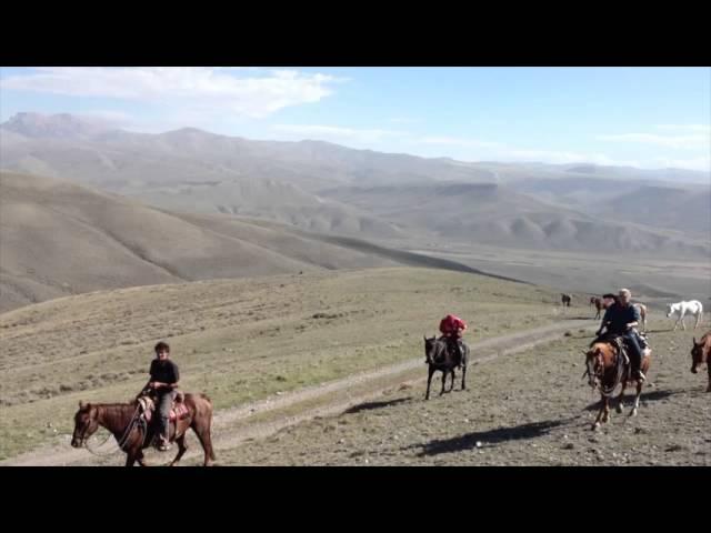 Horse Drive - Amazing View