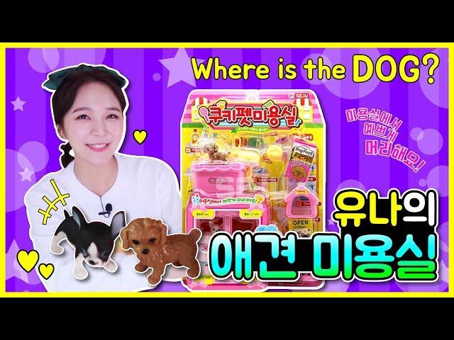 [키즈영어 놀이터] 강아지들과 애견 미용실 소꿉놀이 공놀이 쿠키펫 역할놀이 유아영어