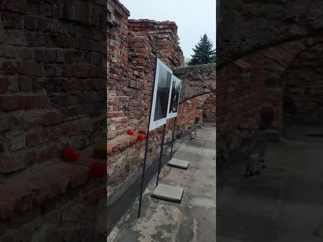 Брестская крепость 