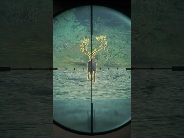 7MM vs  Diamond - theHunter: Call of the Wild #shorts