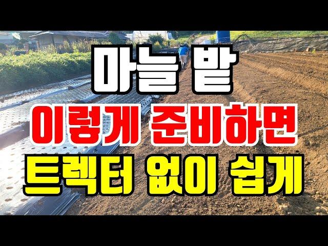 마늘밭 만들기 꼭 해야할 두가지 마늘밭 쉽게 만드는 방법