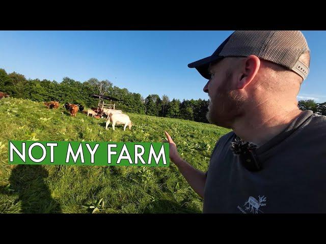 I Spent 7 Days Farming At Gold Shaw Farm