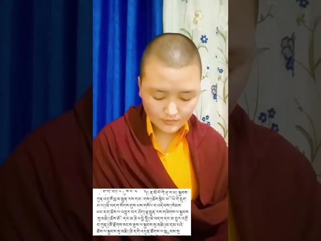 སྤྱན་རས་གཟིགས་ཀྱི་སྟོད་ཚིག་ཉུང་ཉུང་ཞིག་ཁྱེད་རྣམས་ལ་ཕུལ་ཐབས་བྱེད་ཡིན།།️