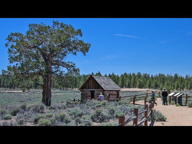 Holcomb Valley near Big Bear