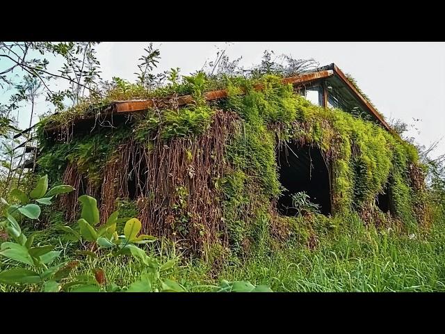 Two Men Clean Abandoned Old House and Give It a Second Life for Free | by @Cleantheoldhouse