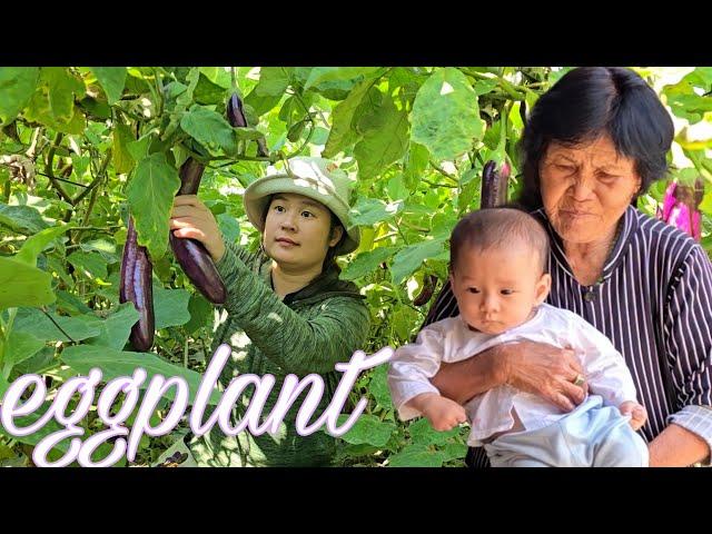 Single Mom & Super Long Eggplants: A Meal Full of Artistry | Ly Chau Hang