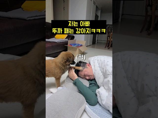 이시끼 손버릇을 어떻게 고치죠? (죽탱이를 날려버리네ㅋㅋㅋ)