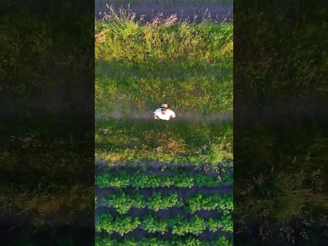 Rocket launching you DJI Mavic 3 Pro drone  #shorts #dji #mavic3pro #drone #dronefootage
