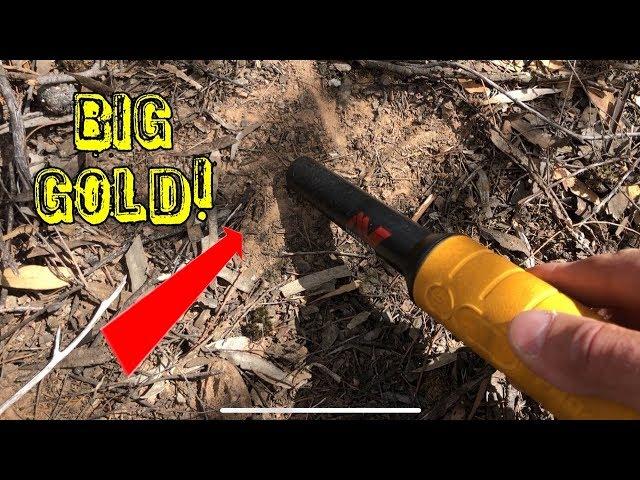 HUGE NUGGET only INCHES DOWN!!! GOLD HUNTING w/ MINELAB GPZ7000