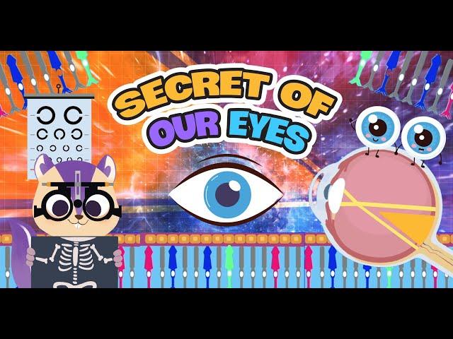 Biology | Secret of our EYES | How do our EYES work? | Sense of Sight | Science video for kids