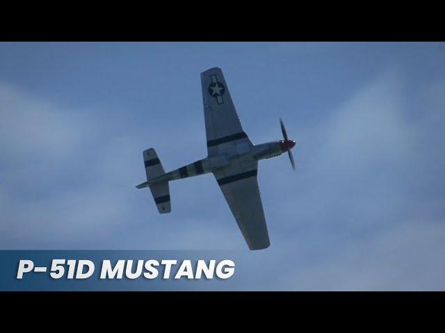 P-51D Mustang "Warhorse" - Spectacular Display In The Summer Sky