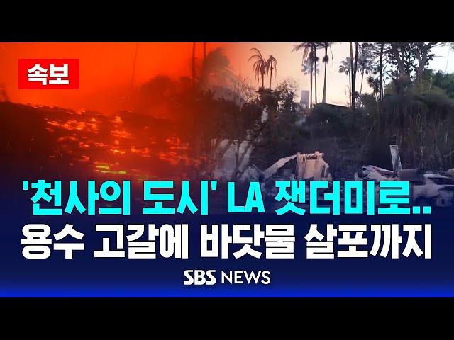 [속보] '천사의 도시'가 잿더미로 "LA 산불 통제불능"..'최후수단' 바닷물 살포 / SBS