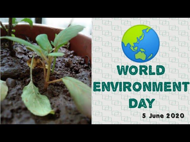 World days - World Environment Day | About | History | Themes | How & When celebrated in India?