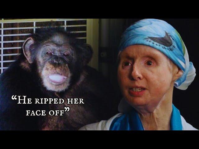 Chimpanzee Attack | The Story of Travis The Chimp and Charla Nash | Short Documentaries