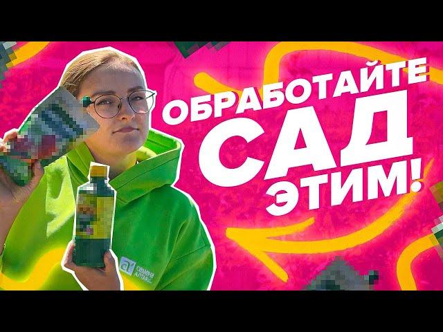 ЧЕМ ОБРАБОТАТЬ САД ОСЕНЬЮ?