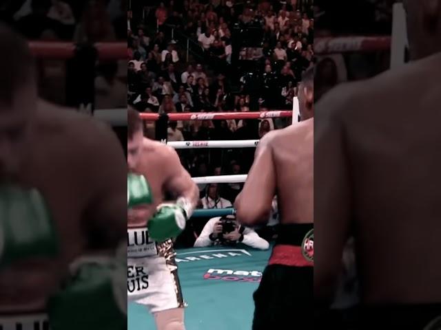 Catnelo practicing the sweet science of boxing