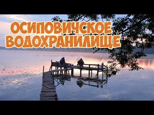 Осиповичское водохранилище. Ловля на фидер. Рыбалка в Беларуси