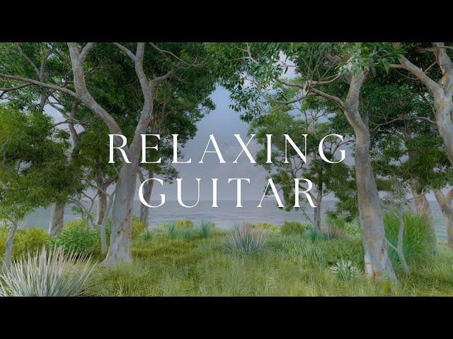 Peaceful Relaxing Guitar Playlist | Calm Study Work Focus