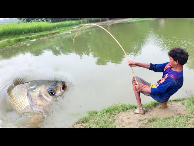 Best Fishing Video ~ Village Smart Boy Fishing With Hook ~ Traditional Hook Fishing