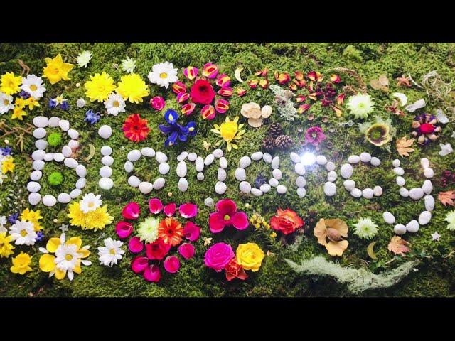 "Biomancy - Our Future" Trailer | With Dr. Azra Bertrand