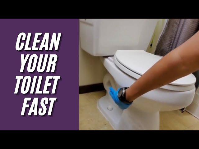 How To Clean Toilets At Home Professionally