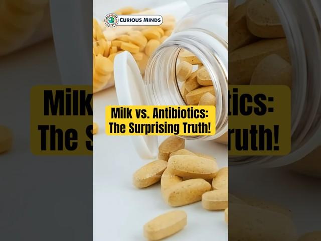 Milk vs. Antibiotics: The Surprising Truth! #CuriousMindsVN #CuriousMinds #DidYouKnow #Science