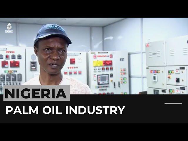 Nigeria's palm oil industry shows signs of slow growth