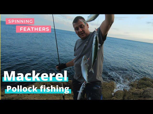 Mackerel and Pollock fishing, sea fishing north wales.