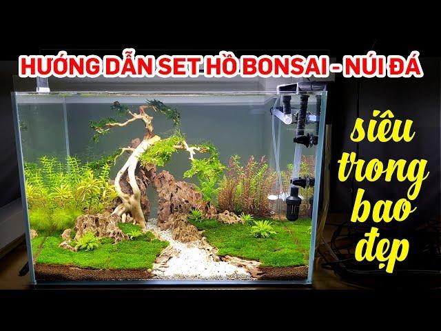 Aquarium Setup - Aquascape - Step by Step - quoidecor