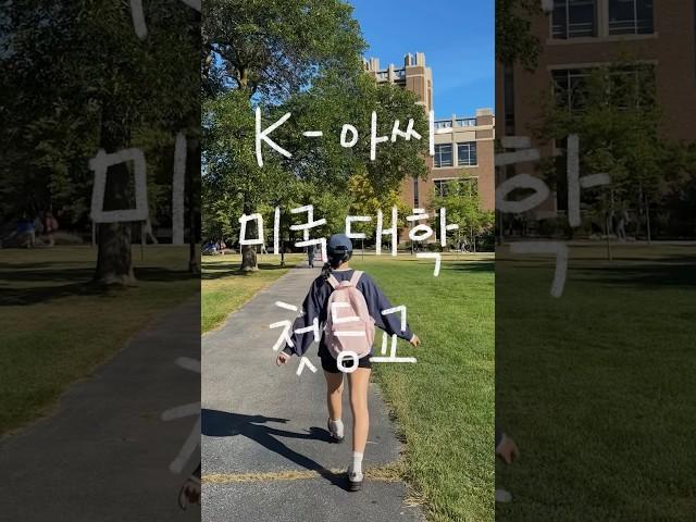 미국 교환학생 현실 