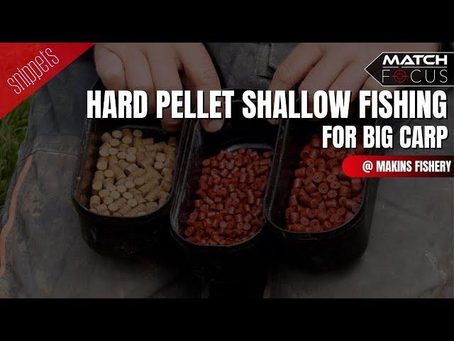 Hard Pellet Shallow Fishing for Big Carp At Makins Fishery