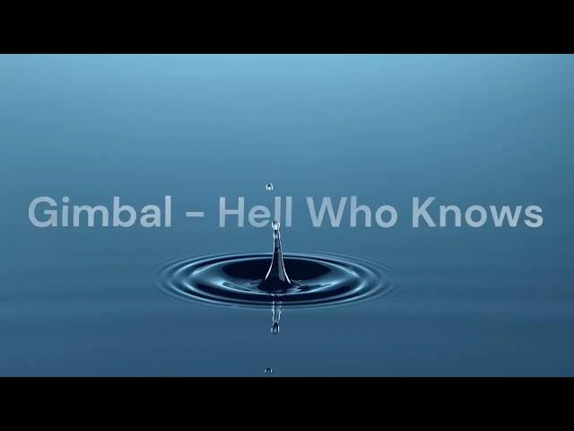 Gimbal - Hell Who Knows  (Big Beat / Breakbeat)