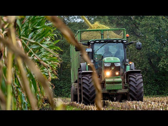 Chopping corn with Claas Jaguar and John Deere / Lohnunternehmen Radi / 2021