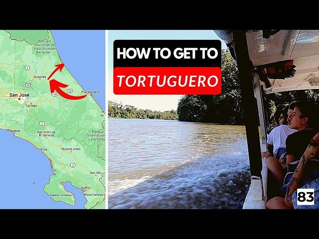 Costa Rica Road Trip Adventure Part 8: Journey to the Amazon of Costa Rica (Tortuguero)