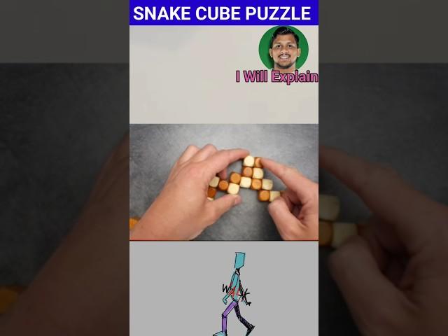 Snake Cube Puzzle Solve | #shorts #puzzle