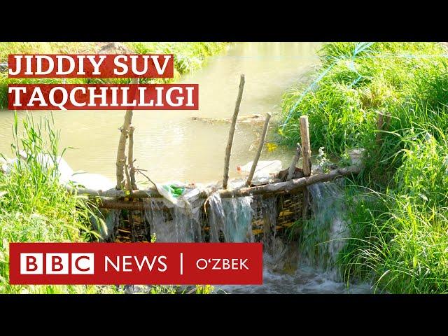 Ўзбекистон: Сув борасида келажак аянчли – давлат олимларга қулоқ солиши лозимми? - BBC News O'zbek