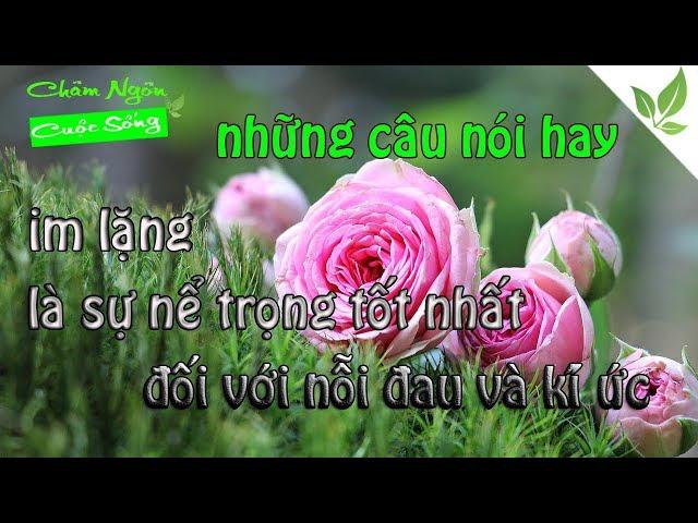 stt hay về cuộc sống - CHÂM NGÔN CUỘC SỐNG - lời hay ý đẹp