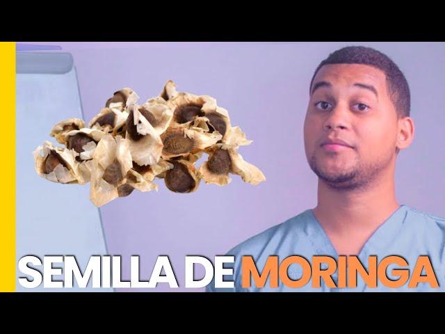 MORINGA SEED WHAT IS IT USED FOR | 3 THINGS