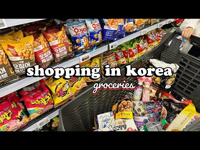 shopping in korea vlog  grocery food haul with prices  cheap or expensive? 