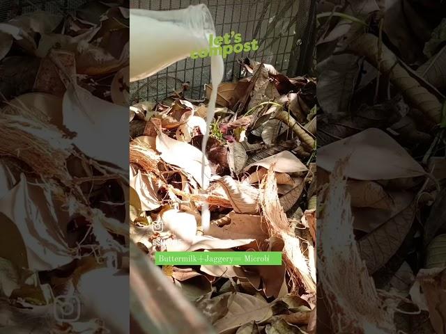 Home Composting: The Complete Guide to Composting at Home