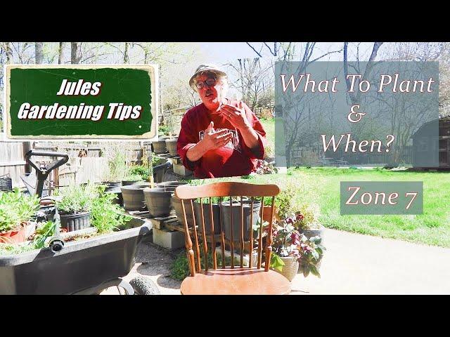 What To Plant In Spring Zone 7 -  Gardening For Beginners