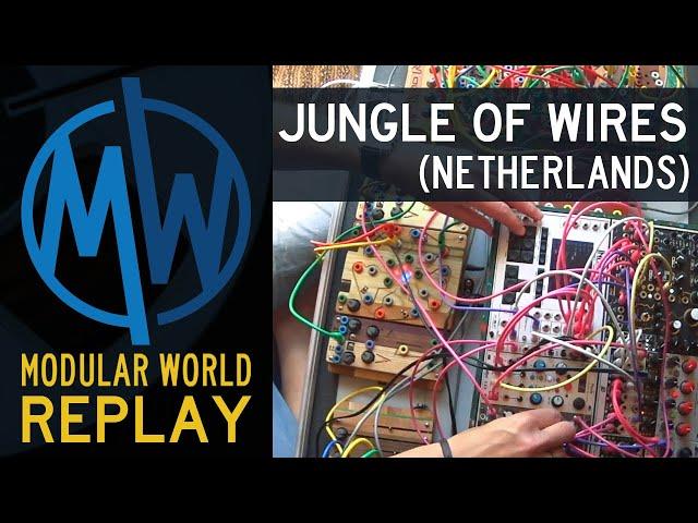 Jungle of Wires (Netherlands) on Modular World - 6-27-20