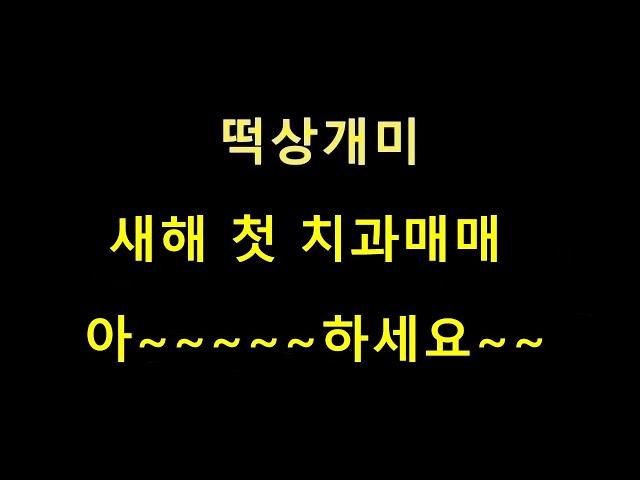 떡상개미 새해 첫 치과매매 아~~~~하세요~~  수익 넣어 드립니다~~
