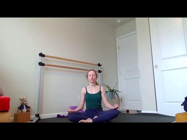 Ashtanga-Vinyasa Yoga Practice / March 19, 2025