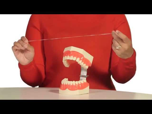 How to Floss Your Teeth