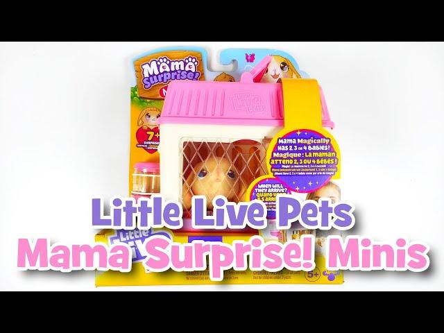 Little Live Pets Mama Surprise Minis Lil' Bunny | UNBOXING