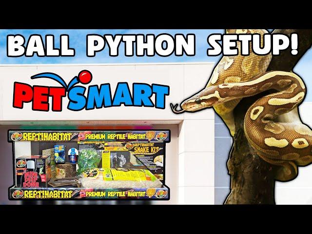 Ball Python Setup Guide for Beginners