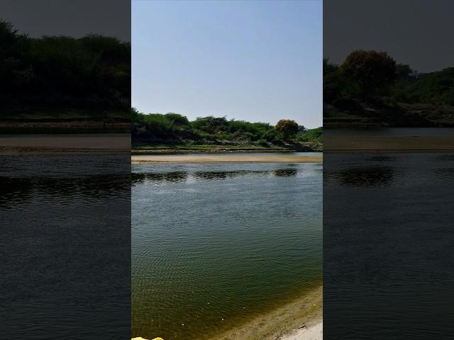 Beautiful  Yamuna River #trending #trendingshorts #shorts #ytshorts #song #music #travel